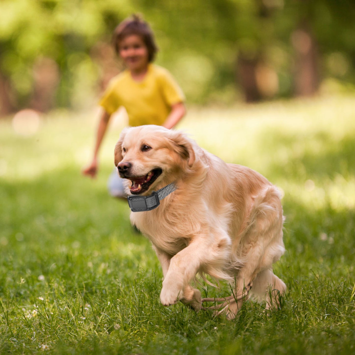 1Pc Citronella Bark Collar For Dogs Spray Bark Collar Anti Barking Control For Small Medium Large Dogs IP65 Waterproof No Electric Shocks